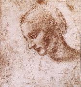 LEONARDO da Vinci Study fur a women head china oil painting reproduction